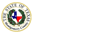 Justice of the Peace Precinct 4